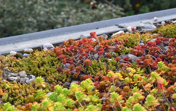 the cost of Old Trafford green roof installation