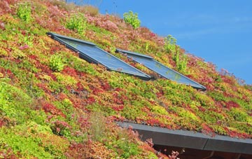 Old Trafford living roof systems